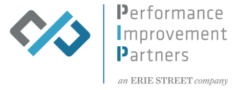 Performance Improvement Partners