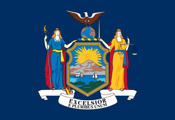 State of New York Flag